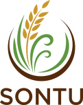 Sontu