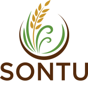 Sontu